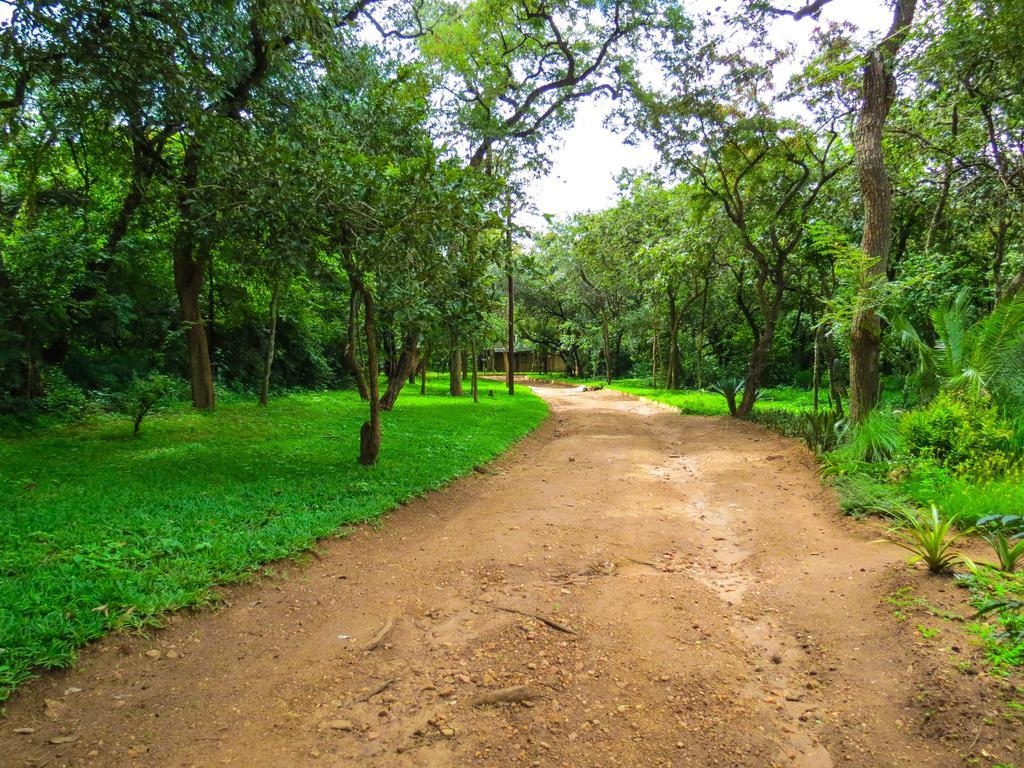 מלון Woodlands לילונגווה מראה חיצוני תמונה